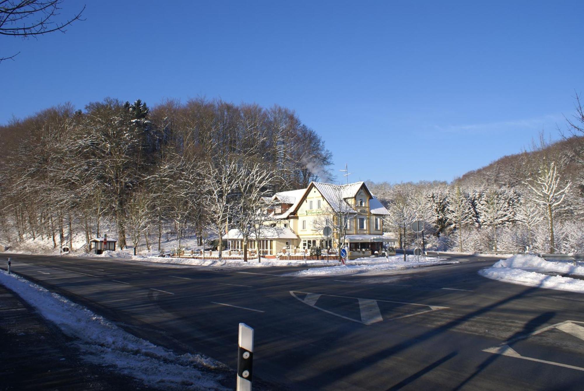 Hotel Elfenberg Schieder-Schwalenberg Екстер'єр фото